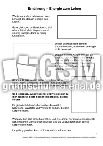 Ernährung-Energie-zum-Leben-1-2.pdf